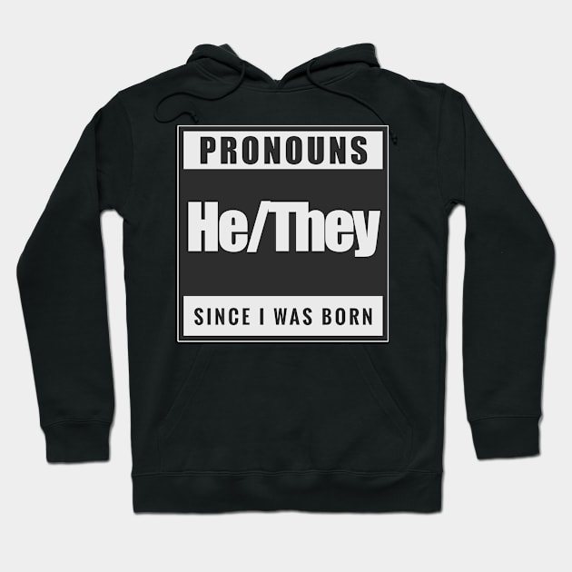 He/They Hoodie by aaallsmiles